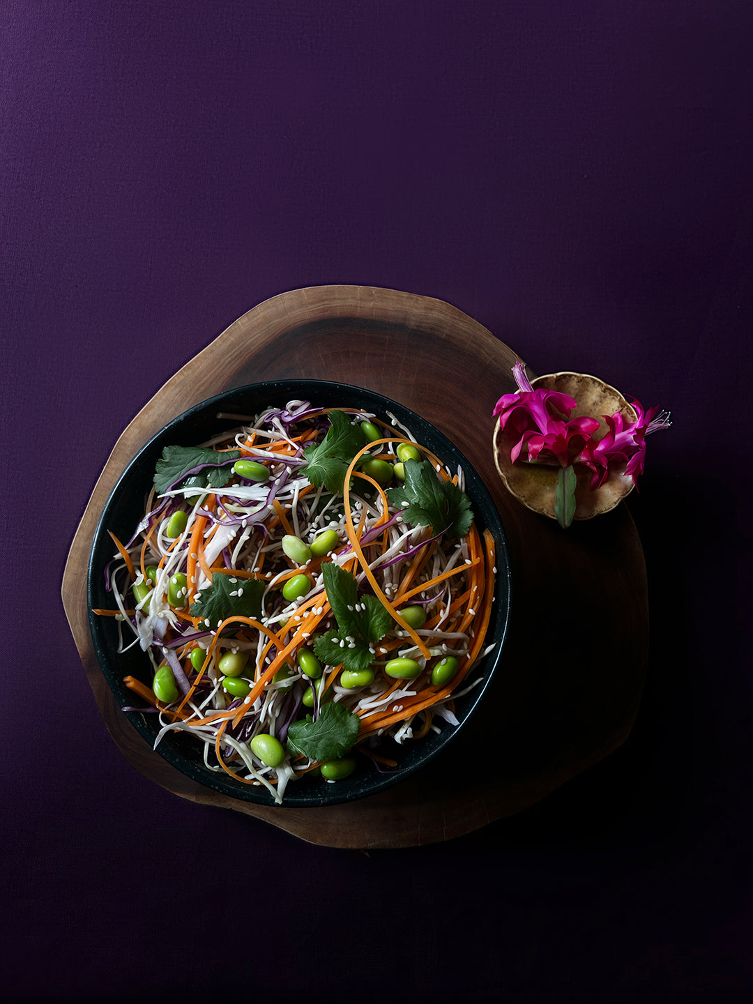 Rainbow Soba Noodle Salad — soba noodles and rainbow slaw